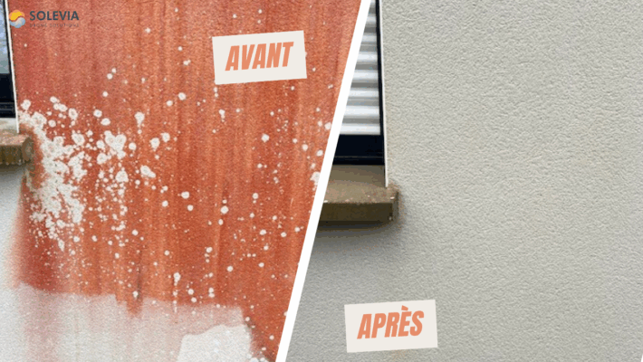 avant/ après algues rouges